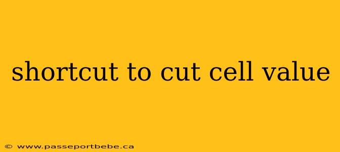 shortcut to cut cell value