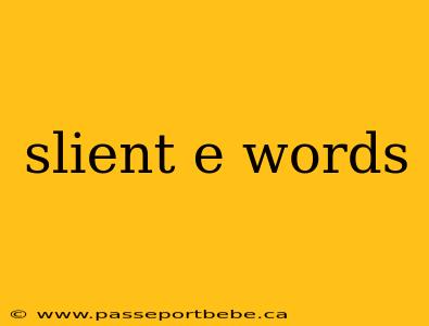slient e words