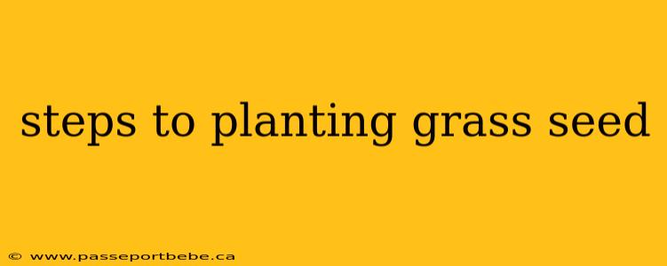 steps to planting grass seed