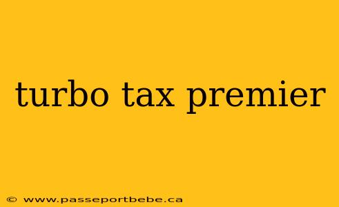 turbo tax premier