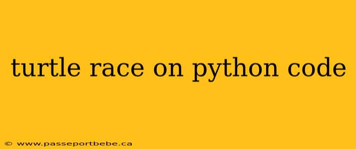 turtle race on python code