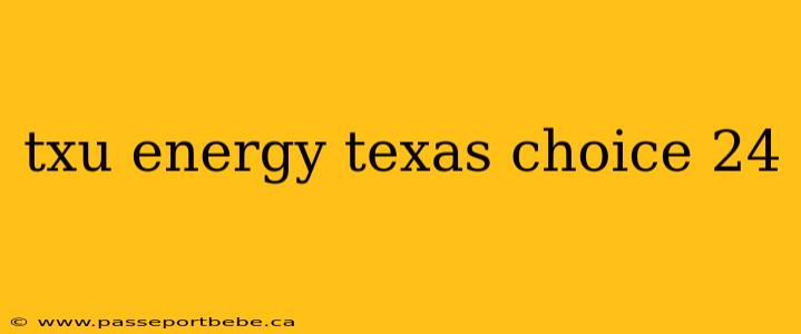 txu energy texas choice 24