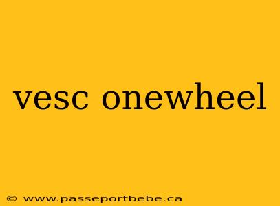 vesc onewheel