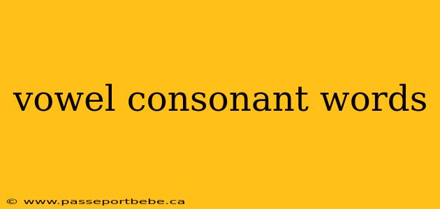 vowel consonant words