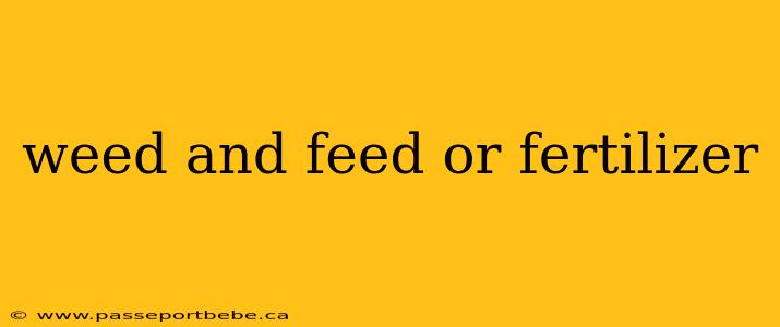 weed and feed or fertilizer