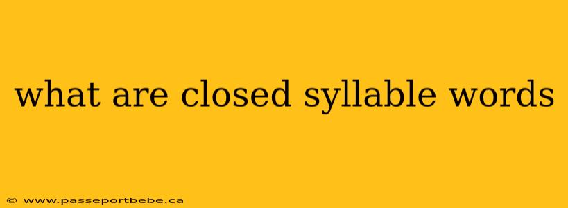 what are closed syllable words