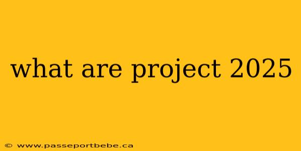 what are project 2025