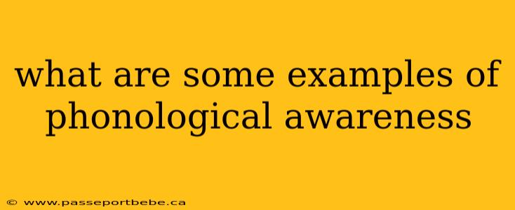 what are some examples of phonological awareness