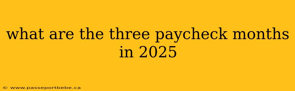 what are the three paycheck months in 2025