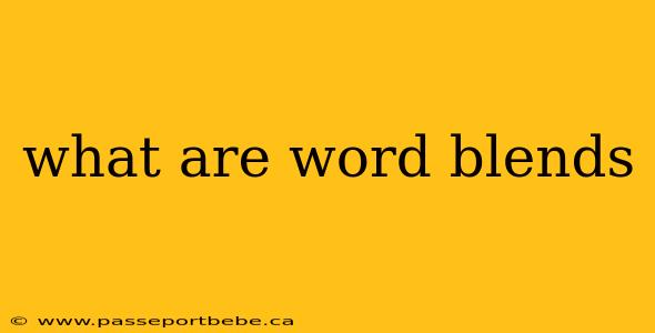 what are word blends