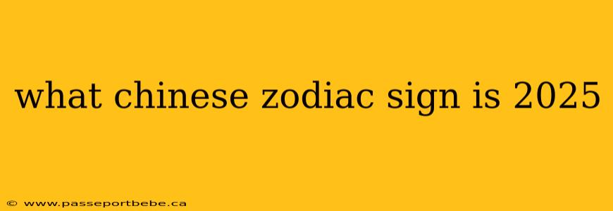 what chinese zodiac sign is 2025