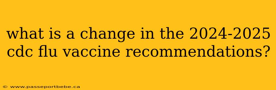 what is a change in the 2024-2025 cdc flu vaccine recommendations?