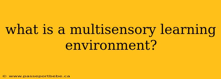 what is a multisensory learning environment?