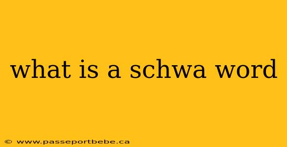what is a schwa word