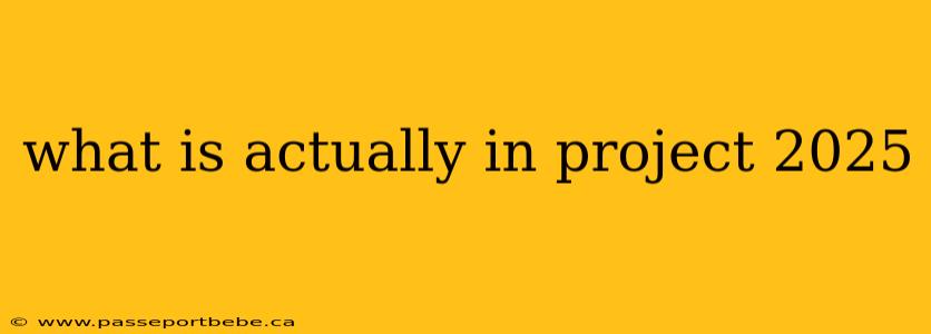 what is actually in project 2025