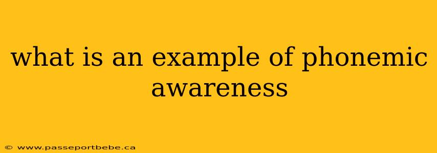 what is an example of phonemic awareness
