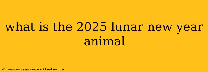 what is the 2025 lunar new year animal