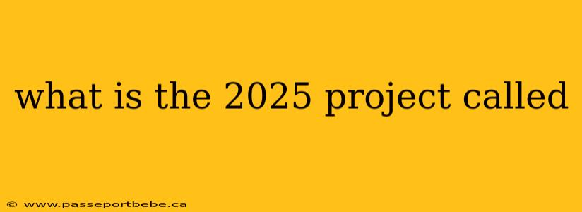 what is the 2025 project called