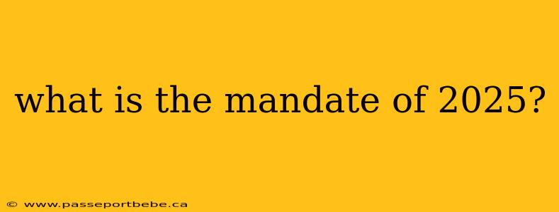 what is the mandate of 2025?
