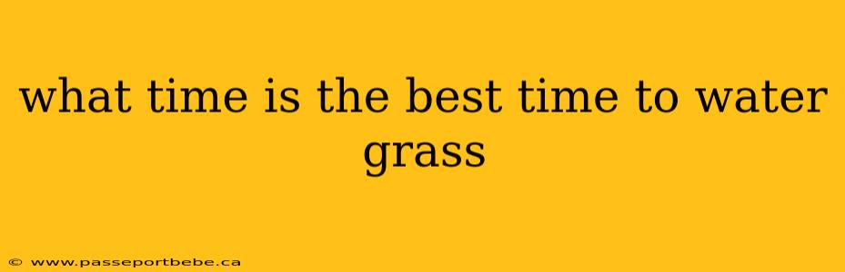 what time is the best time to water grass