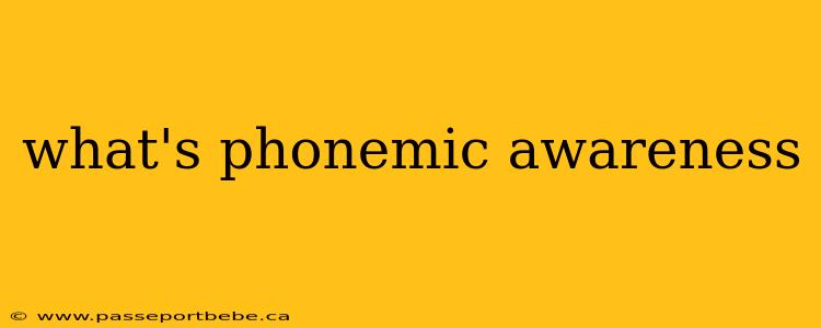 what's phonemic awareness