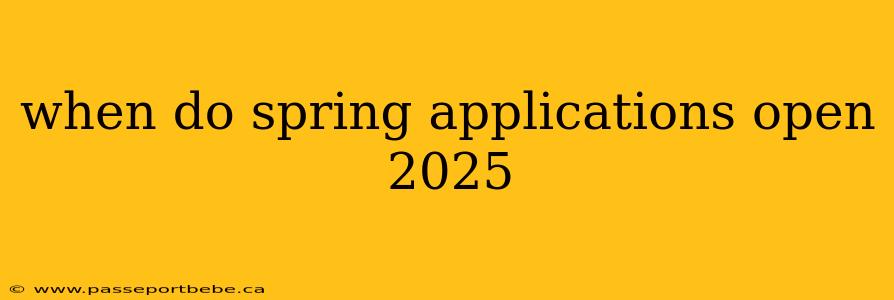 when do spring applications open 2025