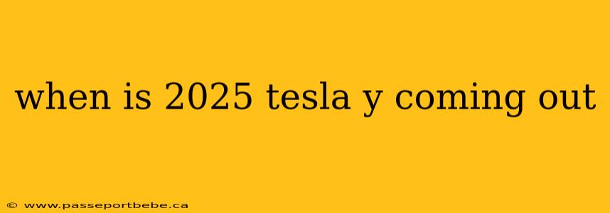 when is 2025 tesla y coming out