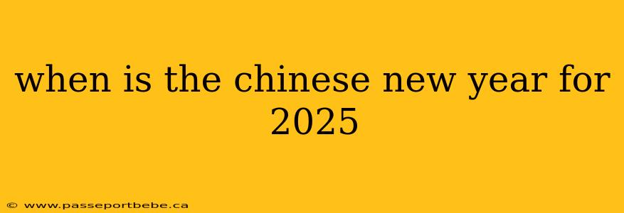 when is the chinese new year for 2025
