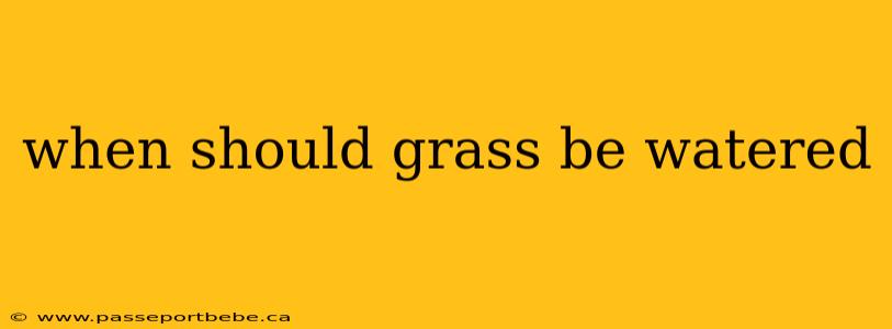when should grass be watered