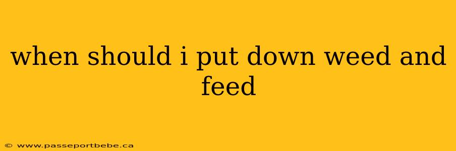 when should i put down weed and feed