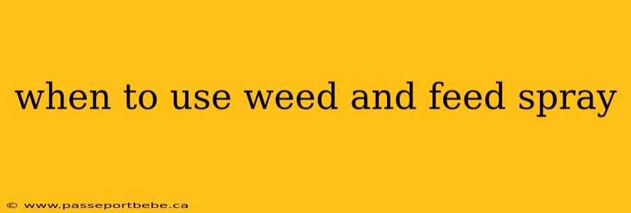 when to use weed and feed spray