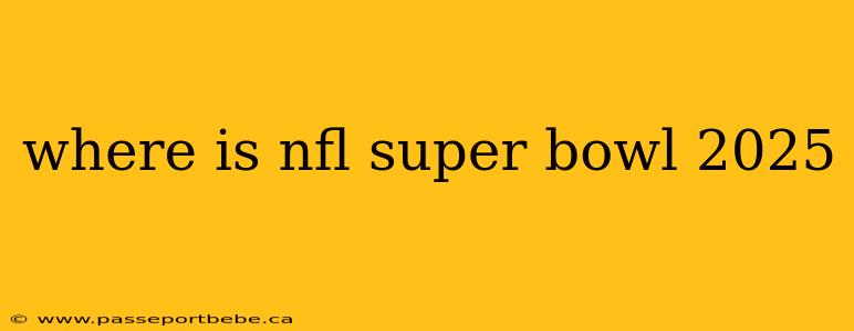 where is nfl super bowl 2025
