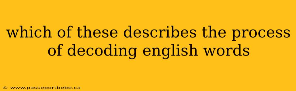 which of these describes the process of decoding english words