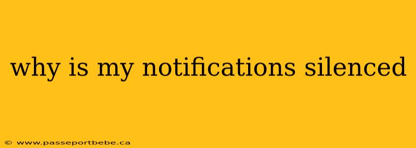 why is my notifications silenced