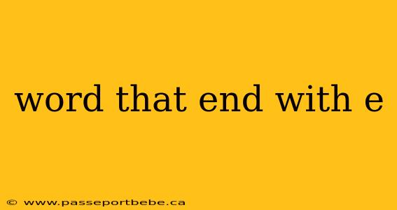 word that end with e