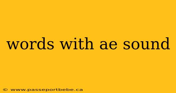 words with ae sound