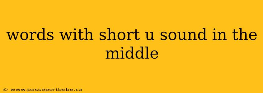 words with short u sound in the middle