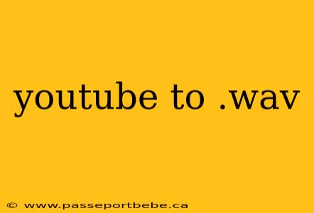 youtube to .wav
